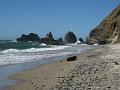 West Coast 12